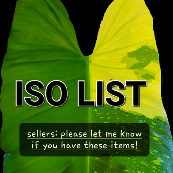 ISO Dresses & Skirts - ISO List! See Description